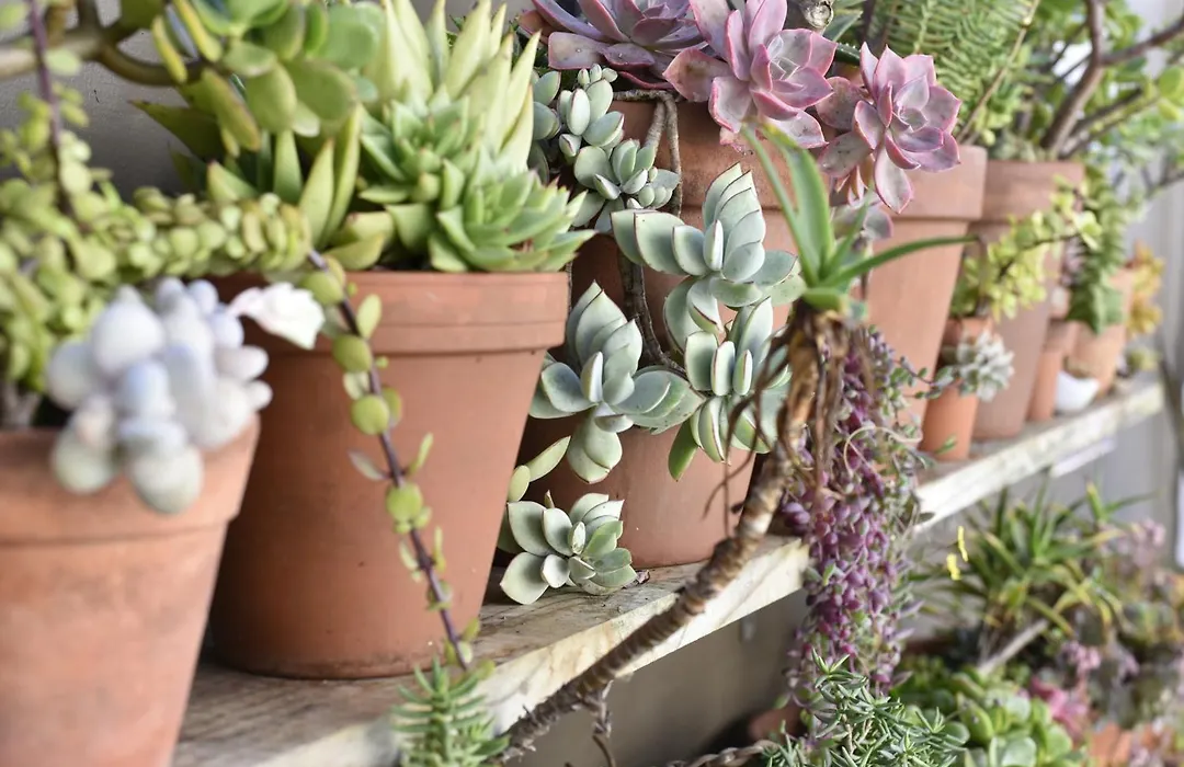 Paternoster Dunes Boutique Guesthouse-1